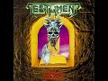 Testament - Raging Waters