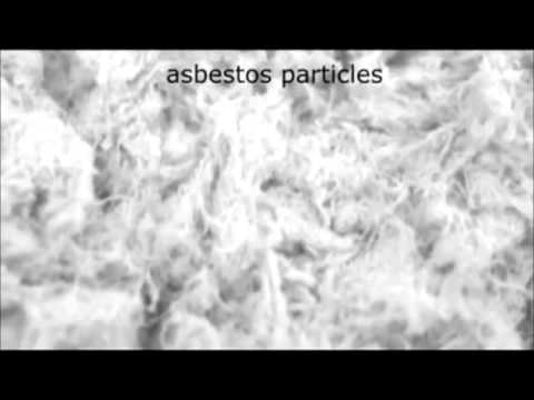 Mesothelioma The Disease