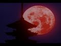 amv   rurouni kenshin   linkin park   numb