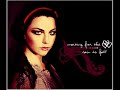 this is a compilation of the best bits from each song on evanescence's latest cd 