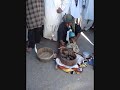 Enchanted snake in Karachi, Pakistan