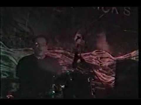 Lungfish - Pray For The ...