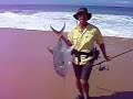 Jack Crevalle