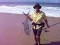Jack Crevalle