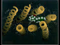 Thumbnail #3