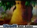 somali diin