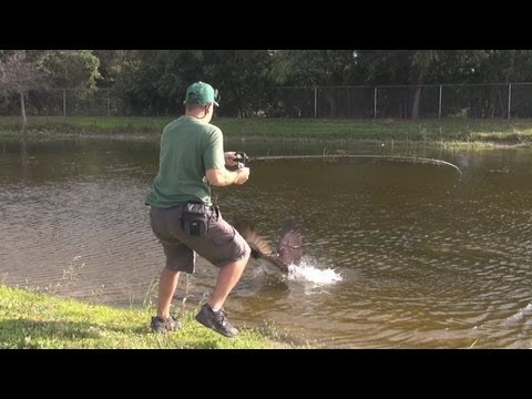 CRAZY - FISH ATTACK ON LURE RAPTOR BIRD ATTACK ON FISH ! 1080p HD