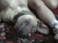 videos de Love Will Keep Us Together.mpg
