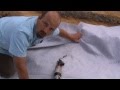 How to Build a Wildlife Pond: Part 2 - Installing the Liner
