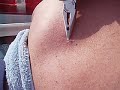 6/14 1 AND 1/2 YEAR OLD BLACK HEAD DUBBLE BUBBLE(6) WOW BRAND NEW VIDEO !