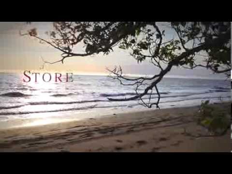 how to harvest lovage