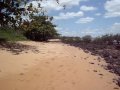 Praia Deserta (3) - Barra do Sahy, Aracruz ES