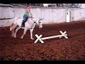 aqha 11 year old mare for sale in omaha nebraska