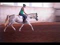 aqha 11 year old mare for sale in omaha nebraska