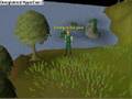 videos de Never Gonna Leave Your Side by Sloshy8/ Daniel Bedingfield