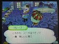 おいでよ どうぶつの森動画