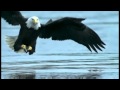 ISIS - The Pliable Foe - Music Video - HD HIGH QUALITY