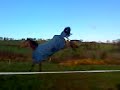 imp&DD out playing