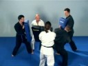 Pratzentraining für Budo-Sportler Pratzentraining für Budo-Sportler