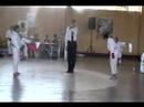 6� regionalde krate shotokan puyehue 2008
