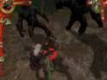 The Witcher - Game Diary