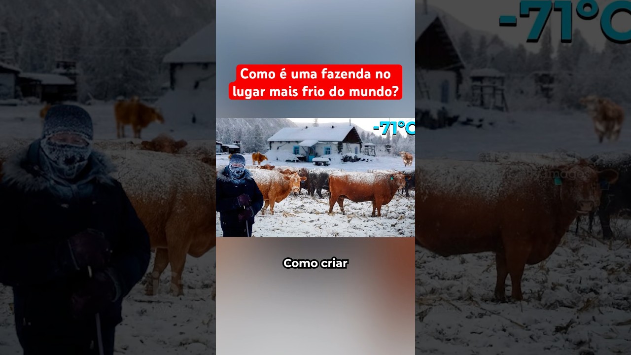 Como é uma fazenda no lugar mais frio do mundo?