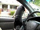 Mordaci rideing in the car! Mordaci rideing in the car!