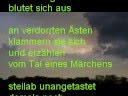 Die letzten Liebesgärten der Kralle, Teil 5 (Das Tal)
