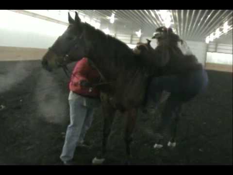 SDV_0169.AVI