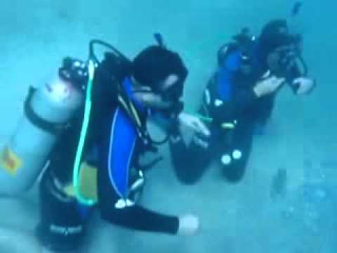 Cursos De Buceo