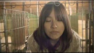 โฆษณาที่คุณอาจจะฟังไม่ออก...แต่ทำให้คุณซึ้งได้ 