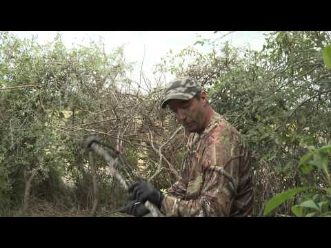 hunter - If you've never watched doves being shot from flight, you gotta see this. Amazing shooting unlike anyone has ever seen. All done with a bow...- Like Tim Well...