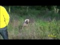 CLIP REILLANNE.m4v
