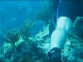 Scuba diving - GATA Mayaguez Puerto Rico