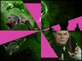 WWE- Best of 2008