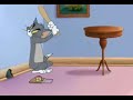 Cartoon Network: Tom and Speedy Gonzales