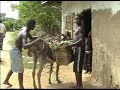 14. BURRO CARGADO 14. BURRO CARGADO