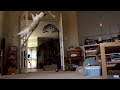 My Cat with a High-speed Camera