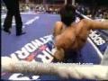 Geral Ligado - Boxeador mais engraçado do mundo