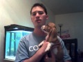 Puppy Potty Training 101
