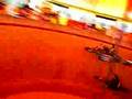 Wall of death, 2 indian motorcycles, Vehikel 2007