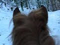 mont�e au galop