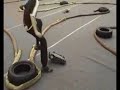 Langley Model Car Club