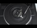 The Grass Roots - You\ The Grass Roots - You\