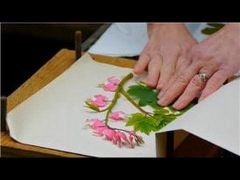 how to properly press flowers