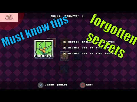 Forager Do's / dont's. starting out.(Forager tips and tricks)
