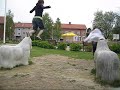 Parkour - Dani & Ani