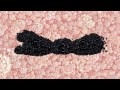 Miss Dior Le Parfum - Part of a Bigger Plan Miss Dior Le Parfum - Part of a Bigger Plan
