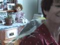 Humphrey the cockatiel whistles the Cats anthem.