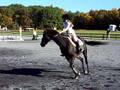 Lexus at Shadowbrook- Jumpers 10-11-08 (2)